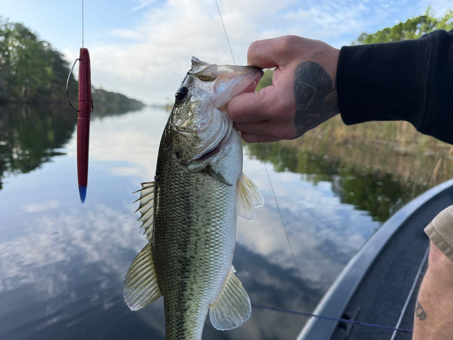 Crimson Strike (3.8" Minnow)