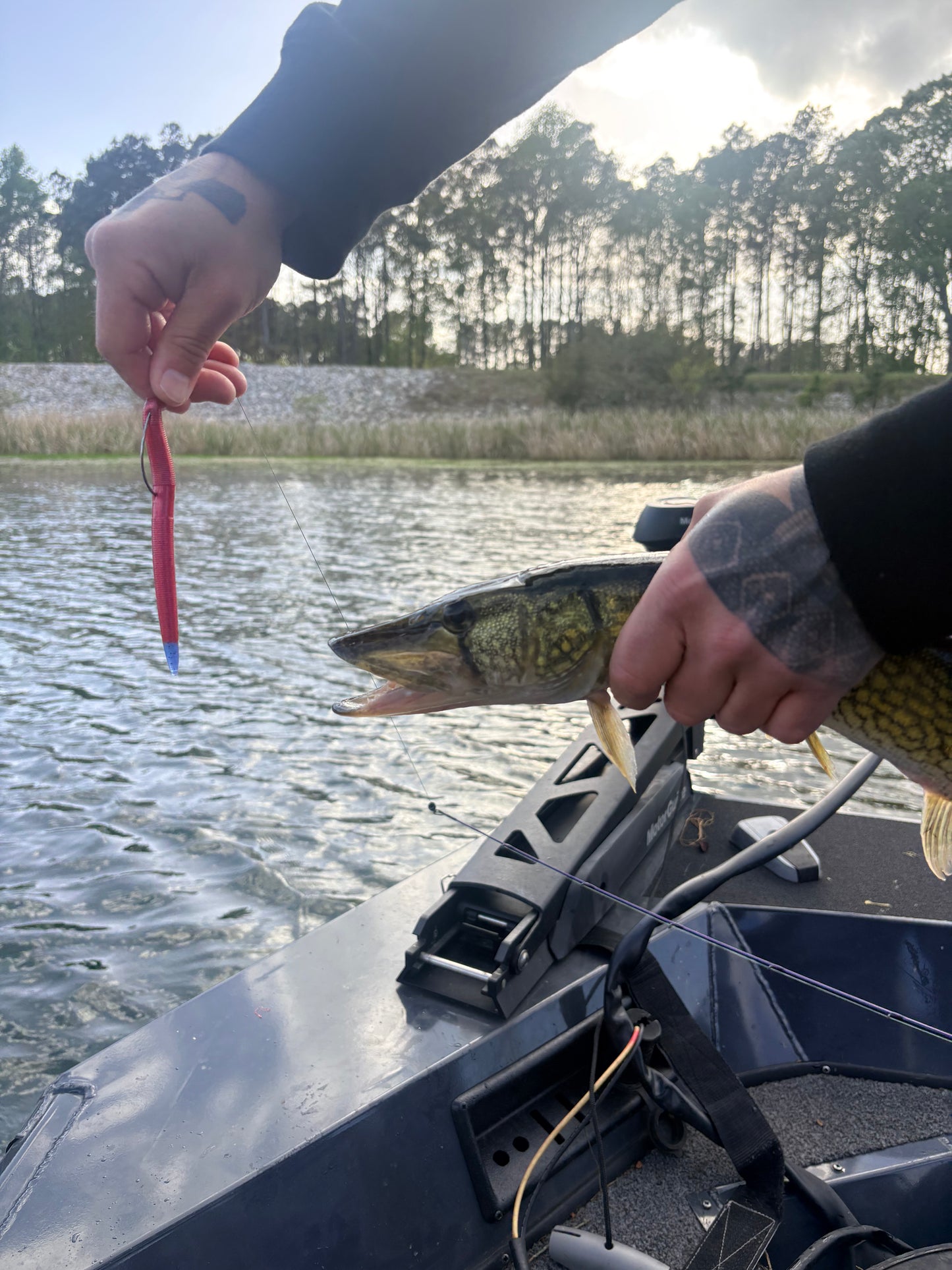 Crimson Strike (5” Stick Bait)