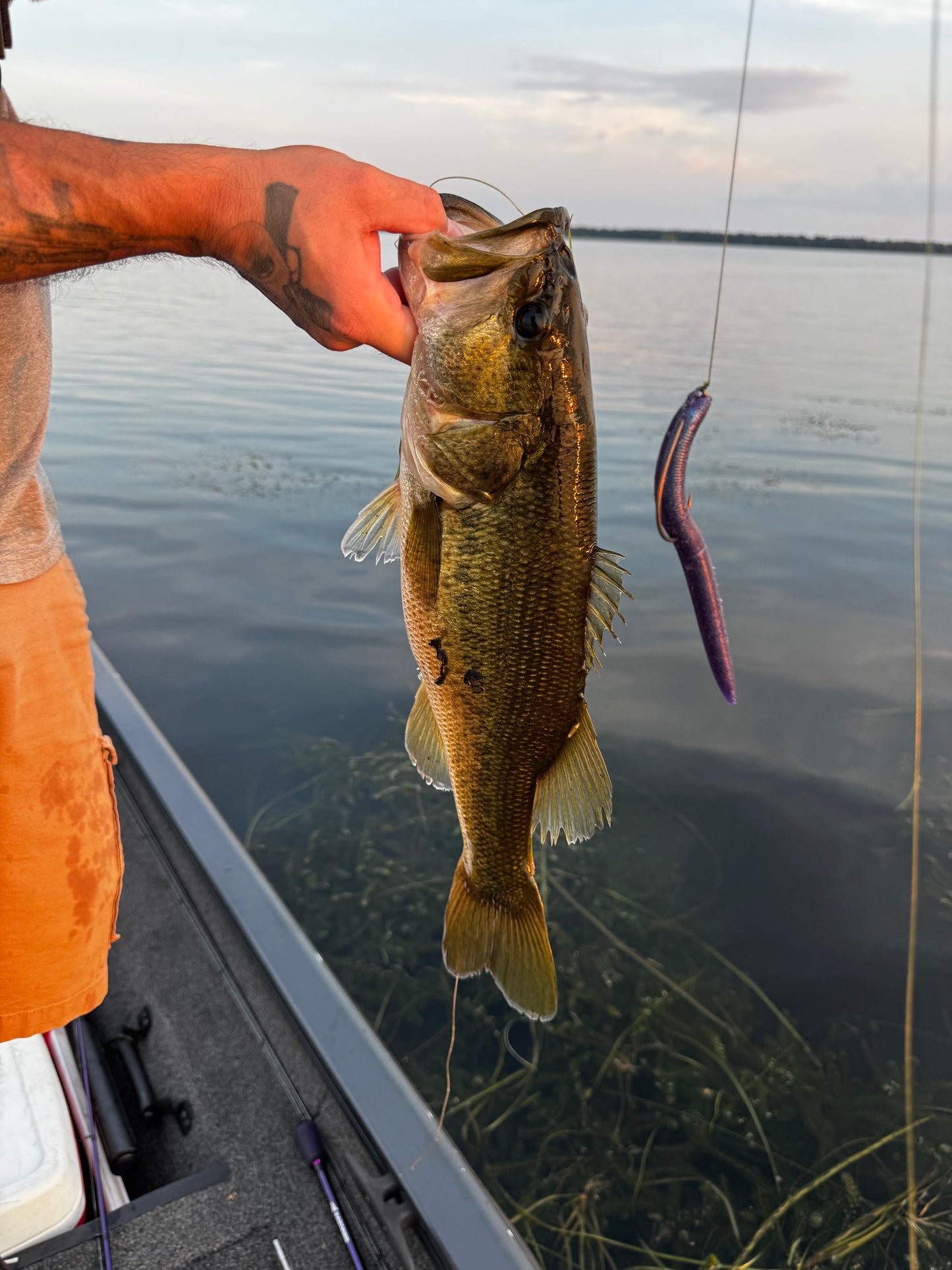 Cypress Eclipse (5″ Stick Bait)