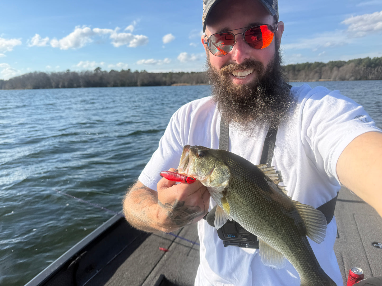 Reaper Core(5" Stick Bait)
