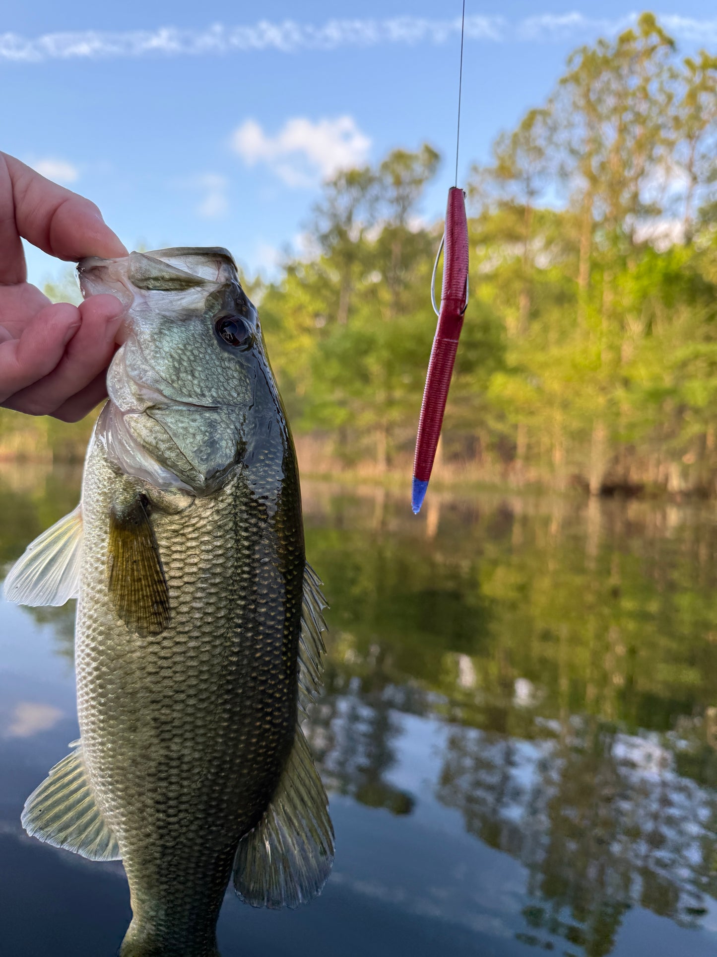 Crimson Strike (3.8" Minnow)