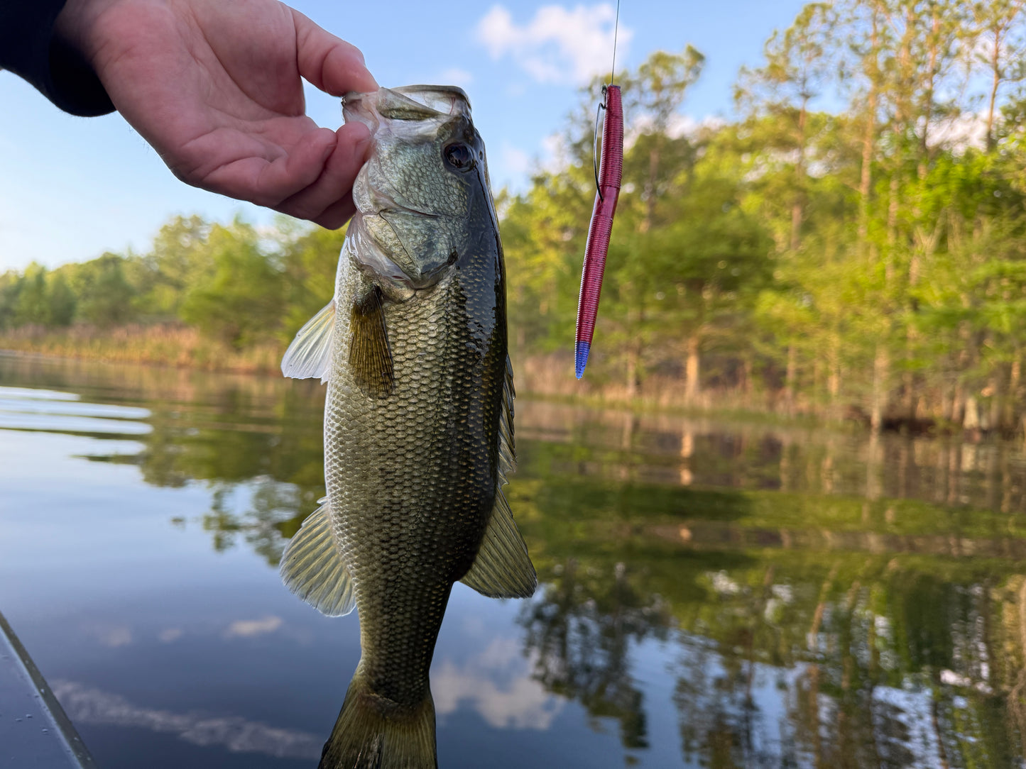 Crimson Strike (5” Stick Bait)