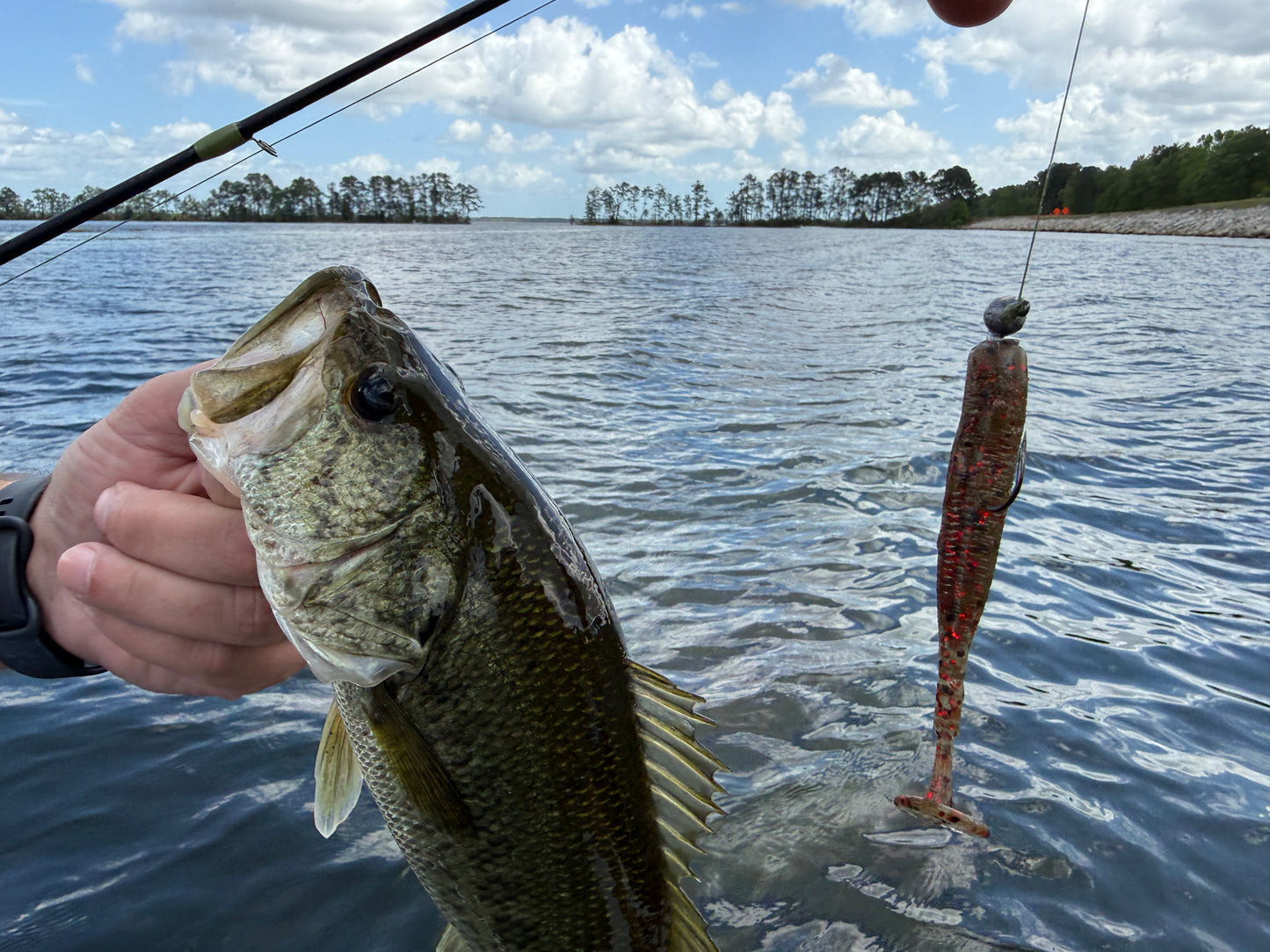 Bloodleaf- (5" Stick Bait)