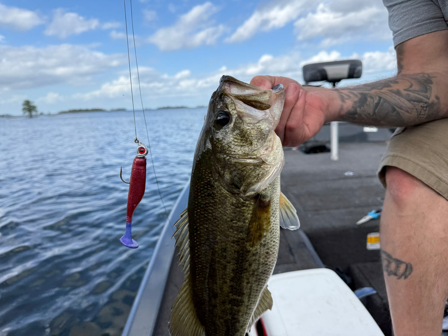 Crimson Strike (3.8" Minnow)