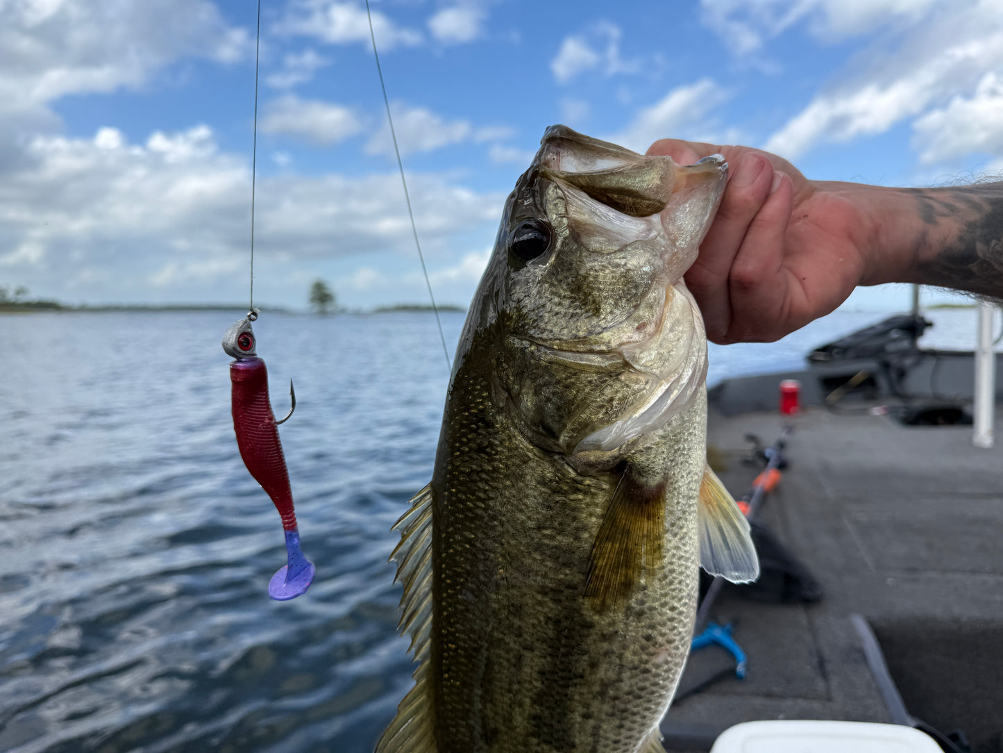 Crimson Strike (3.8" Minnow)