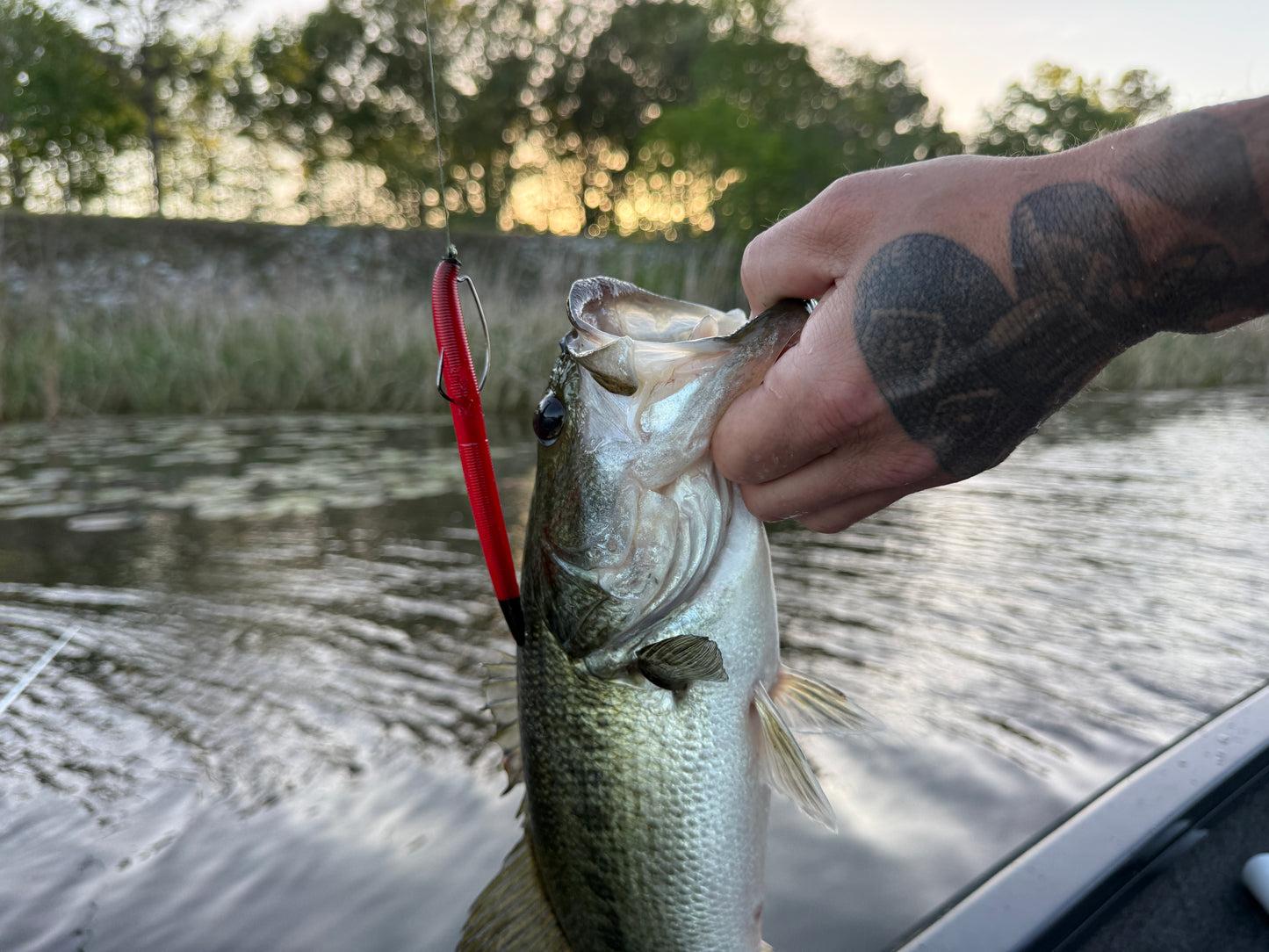 Reaper Core(5" Stick Bait)