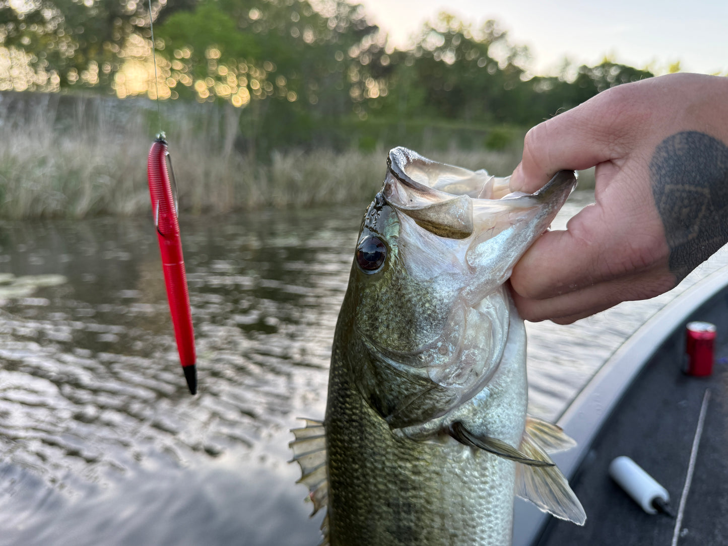 Reaper Core(5" Stick Bait)
