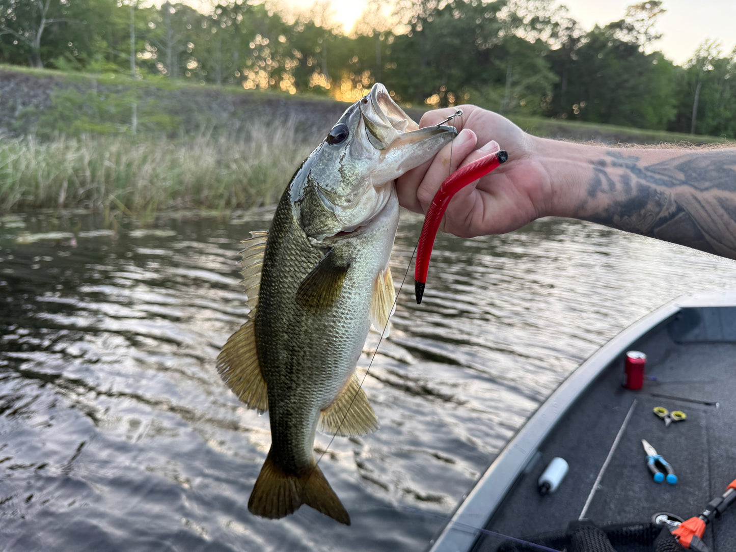Reaper Core(5" Stick Bait)