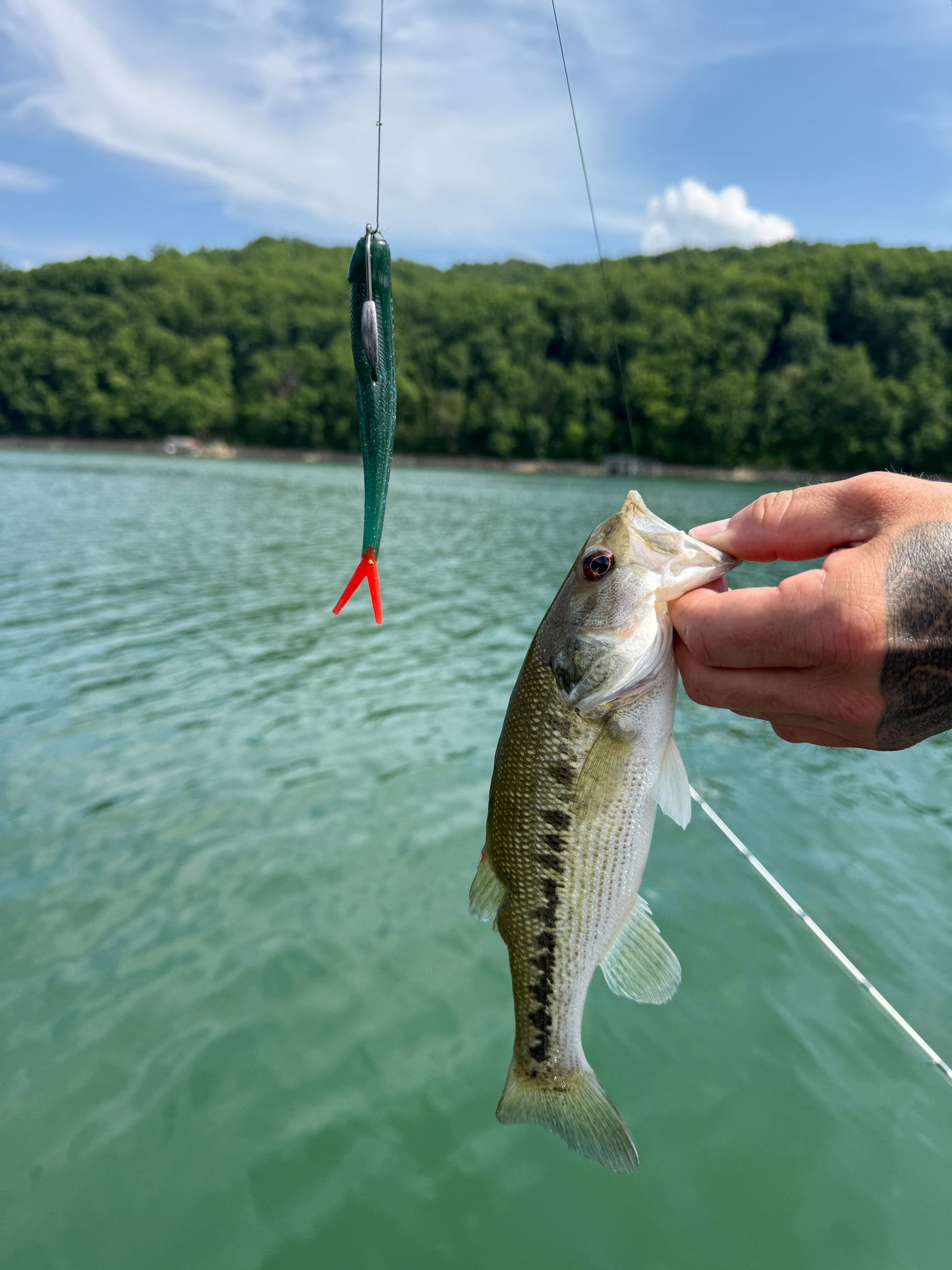 Brimfire (5" Stick Bait)