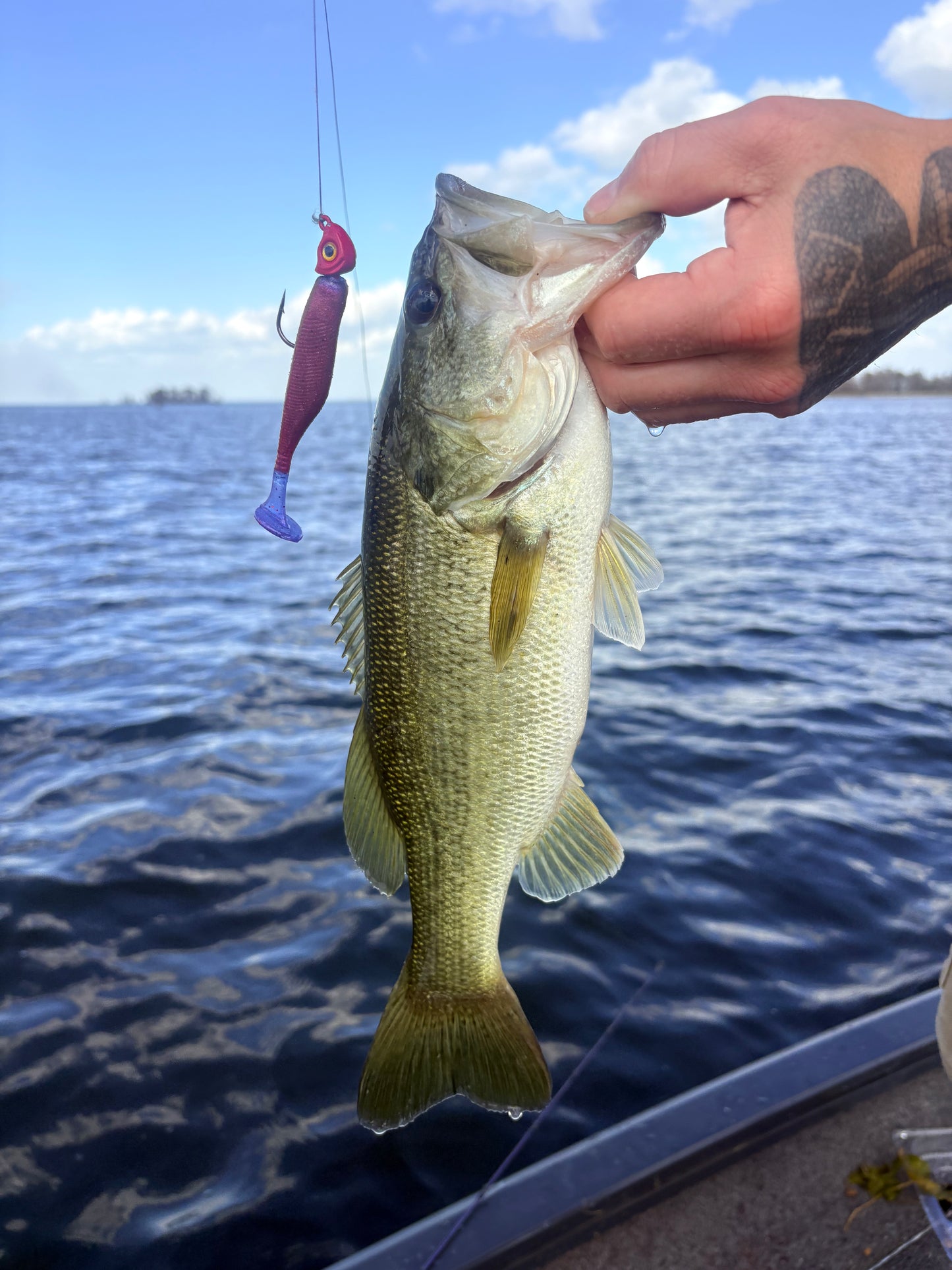 Crimson Strike (3.8" Minnow)
