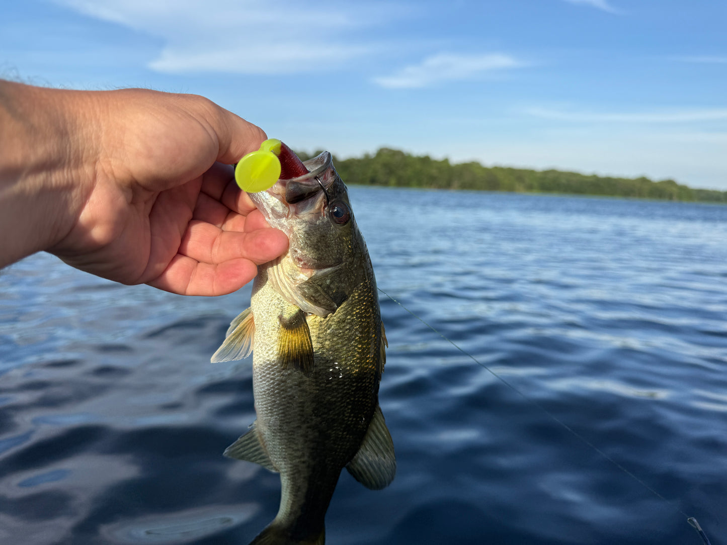 Carolina Heat (3.8" Minnow)
