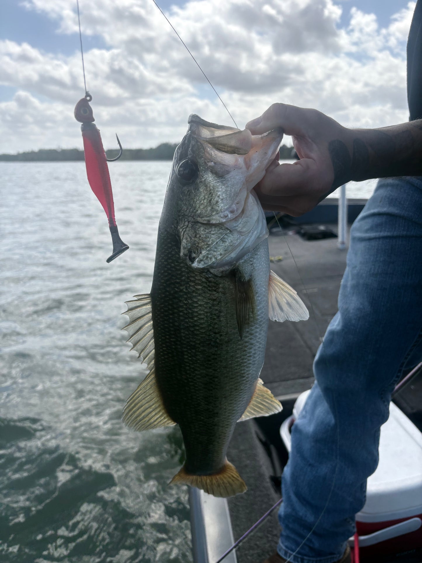 Reaper Core(5" Stick Bait)
