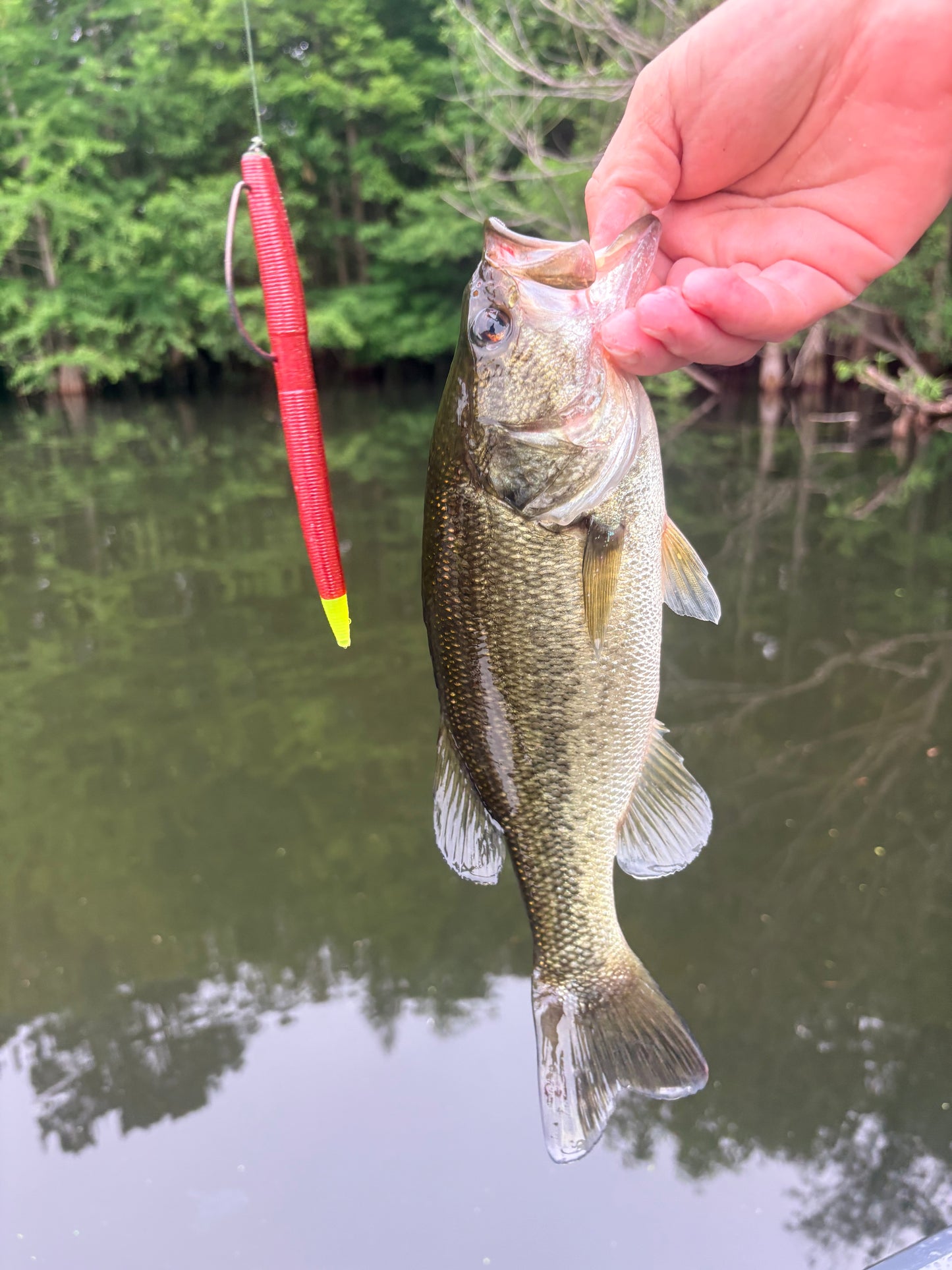 Carolina Heat (5" Stick Bait)