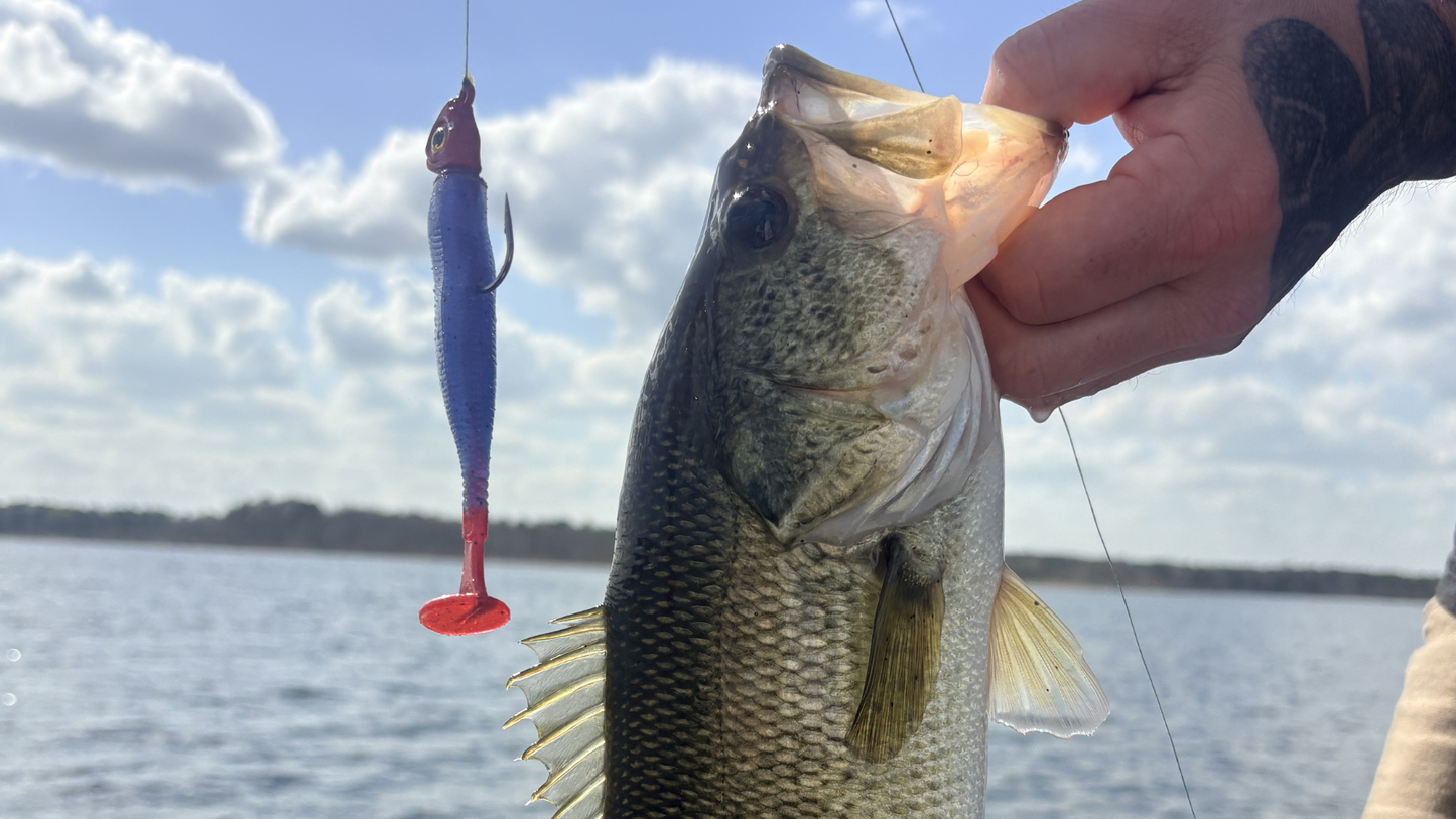 Phantom Bruise (3.8" Minnow)