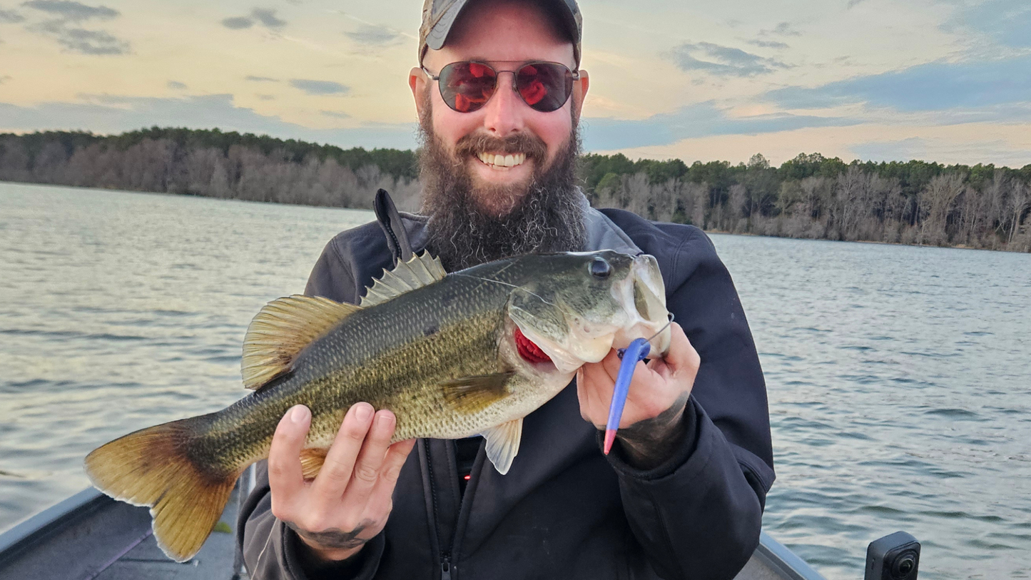 Phantom Bruise (5" Stick Bait)