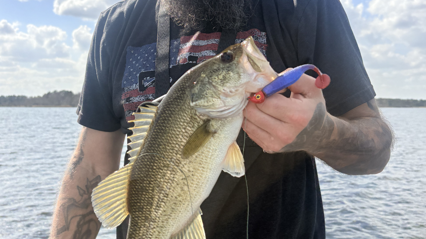 Phantom Bruise (5" Stick Bait)