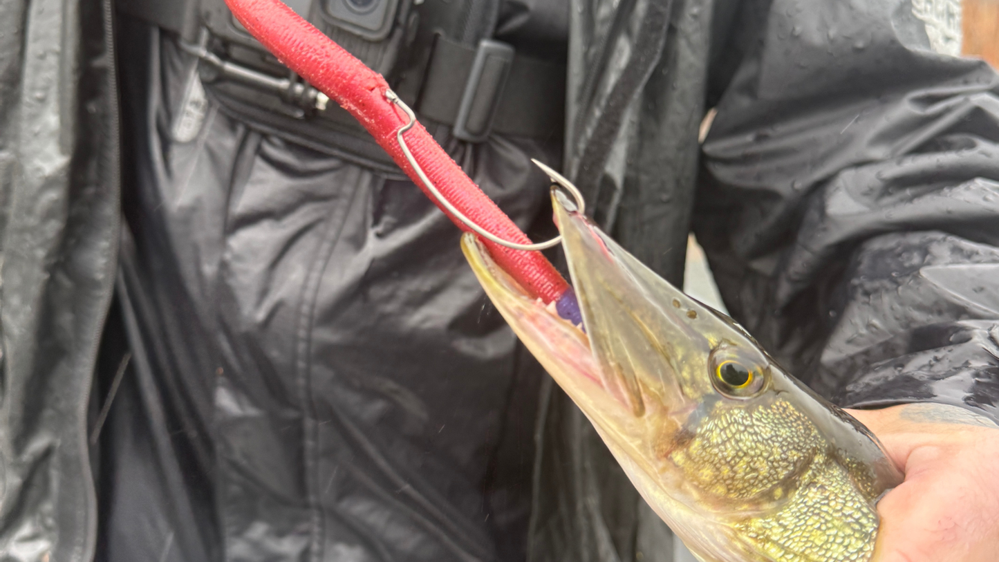 Crimson Strike (5” Stick Bait)