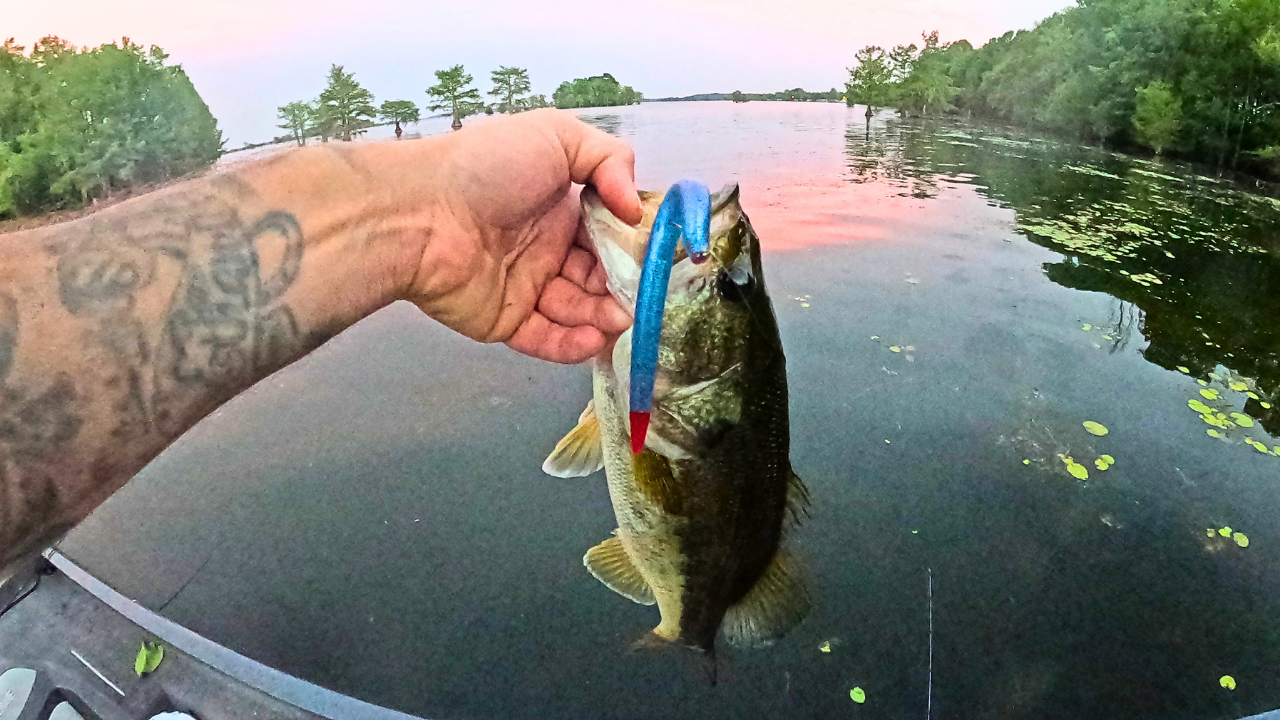 Ghostfin Redbreast (5” Stick Bait)