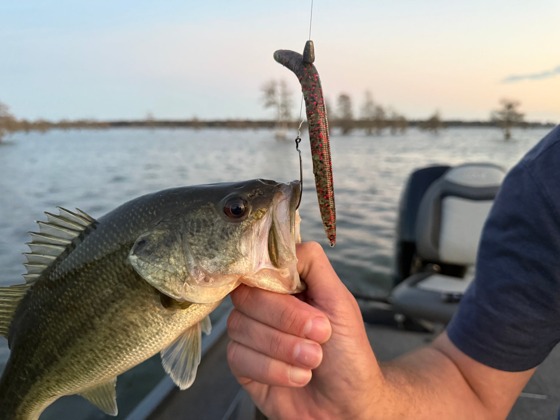 Blood Leaf translucent soft plastic bass bait with heavy red flake for stained water conditions